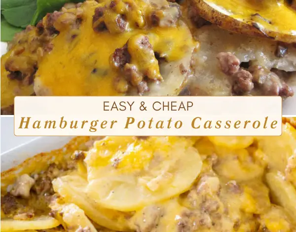 Easy Hamburger Potato Casserole - AMERICAN RECIPE